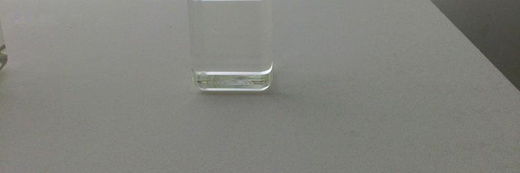 Sensibilities banner