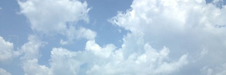 Bertie 🌤️ banner