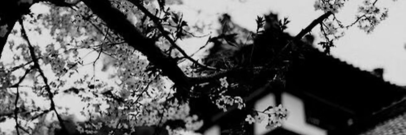Lo_xin_ve's profile banner image