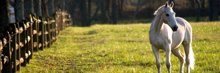 SouthernStates's profile banner image