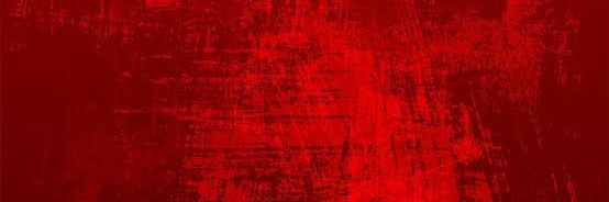 Vinicius Machado banner