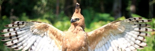 eniqmaone's profile banner image