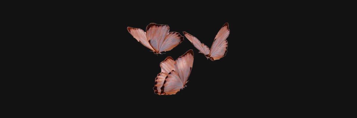 ་۪ ✿◞ 𝘒𝘦𝘦𝘨𝘢𝘯 𝘗𝘢𝘨𝘦 (low activity) banner