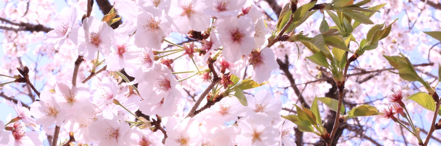 byebye_hello's profile banner image