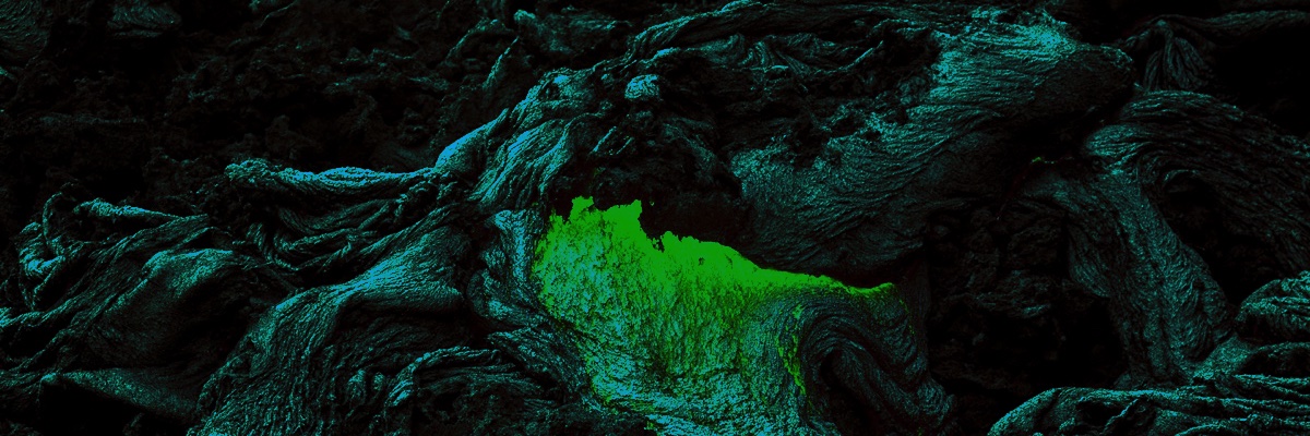 OFF Recordings banner