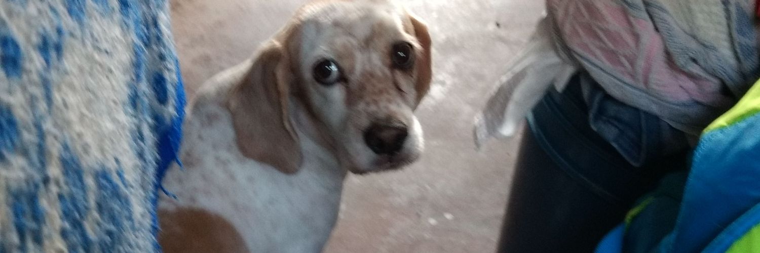 bperezflores's profile banner image
