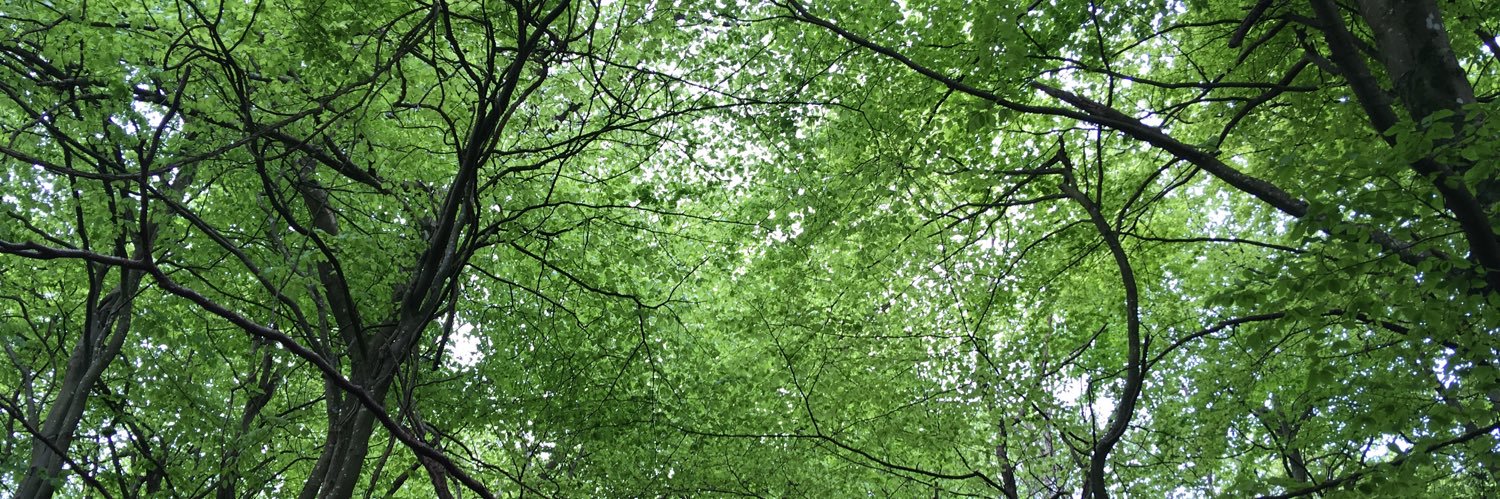 Ellie Violet Bramley banner