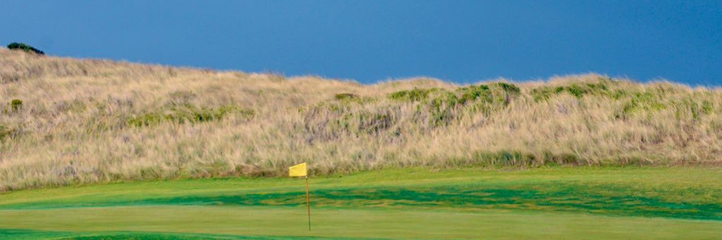 Alex Strauch's banner