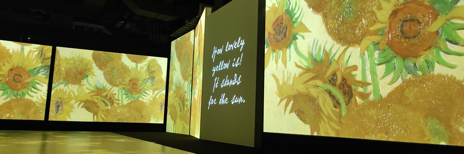 lexisaturtle's profile banner image
