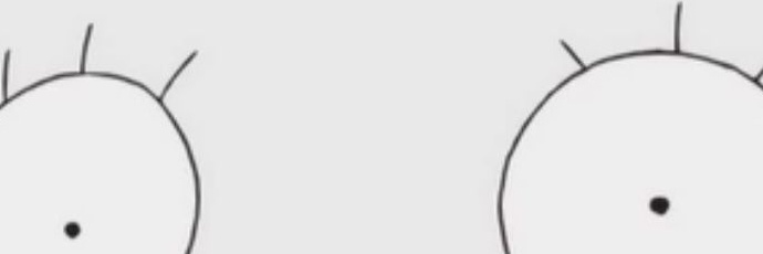 エリザベス banner