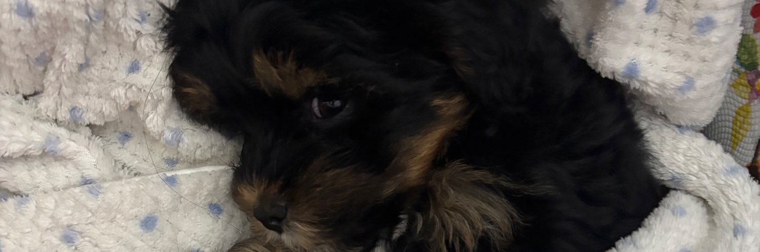 allessaab's profile banner image
