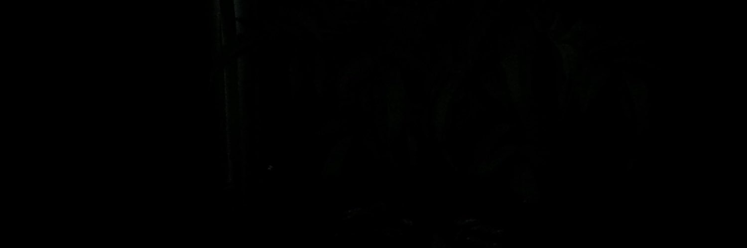 tuckgracies's profile banner image