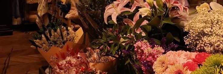 Love, Quinn banner