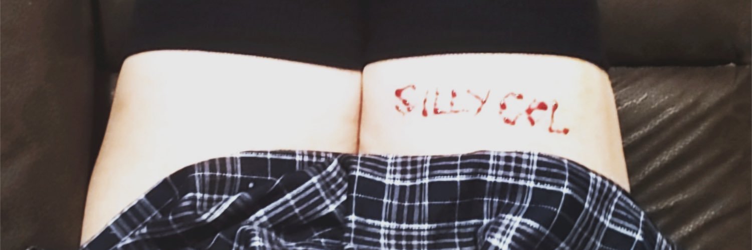 silly's banner