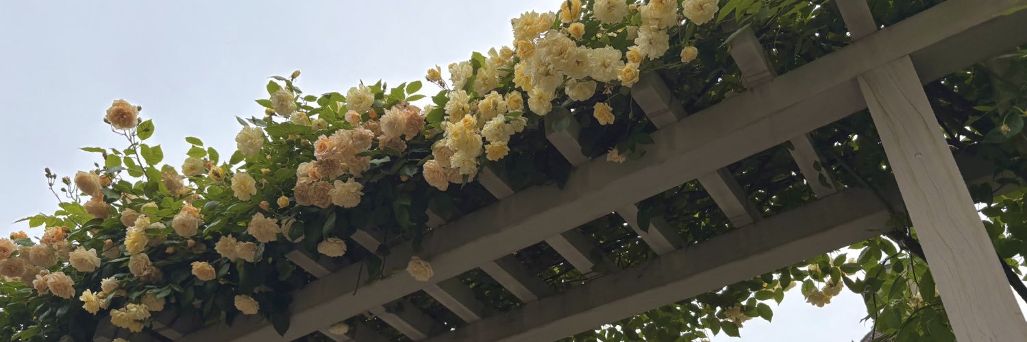 𝟰𝟬𝟰-𝗲𝗿𝗿𝗼𝗿 banner