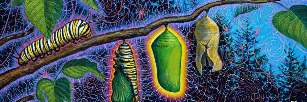 Mat Mytka {m³} 🌏🍄🌱🐭 banner