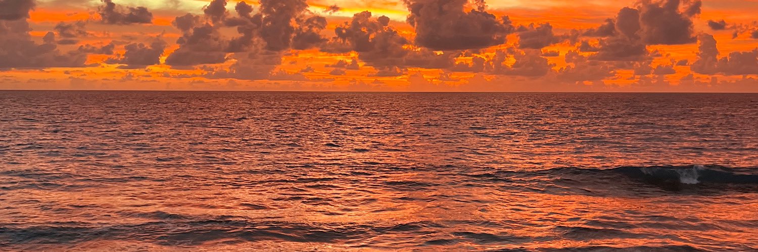 🐚 banner