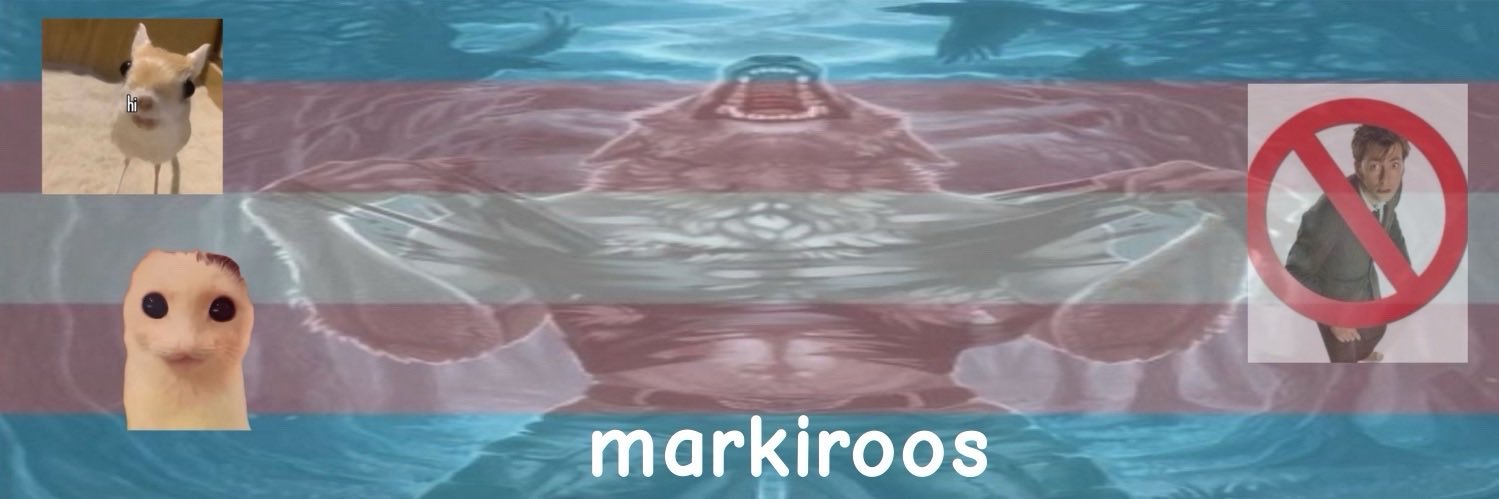 bo / jack ! ♿️🍉 banner