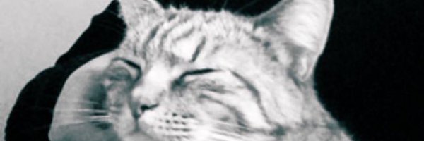 JeuneBoulette Profile Banner
