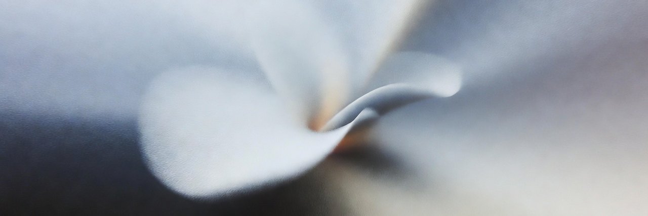 Leon Lin banner