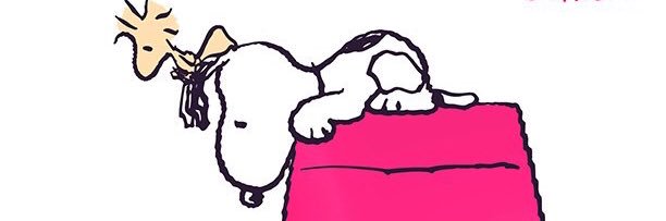 maichy_'s profile banner image