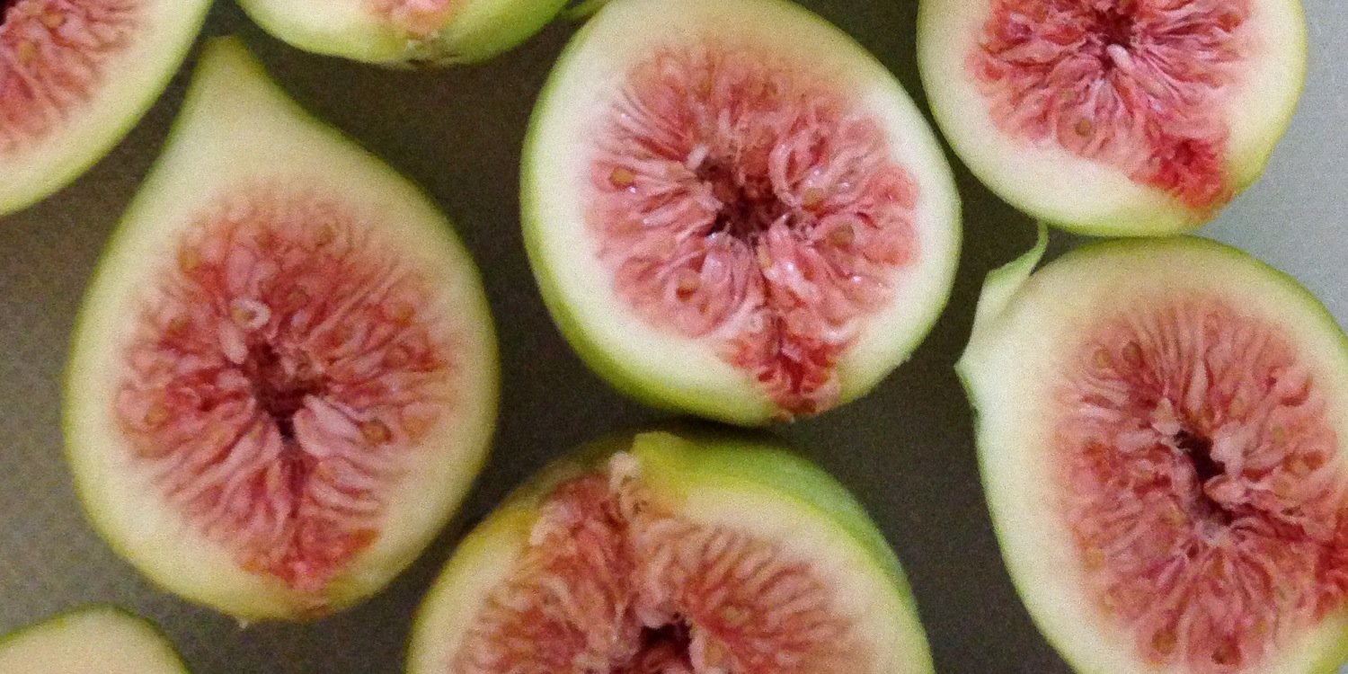 Gabriela Gardner banner