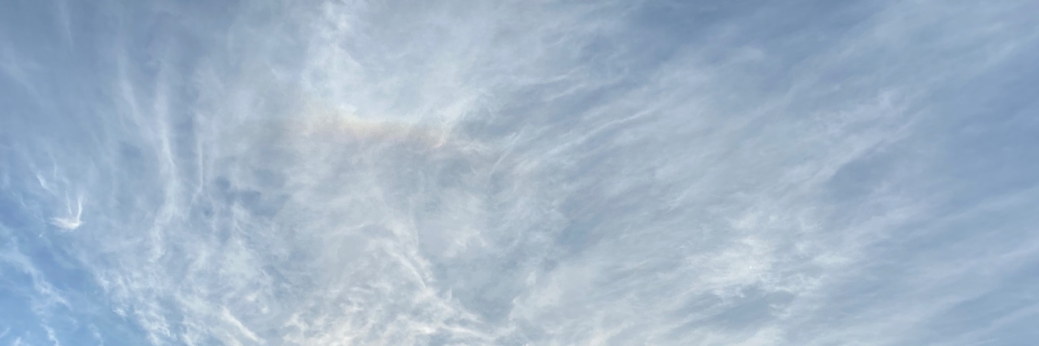LisaHarding's profile banner image