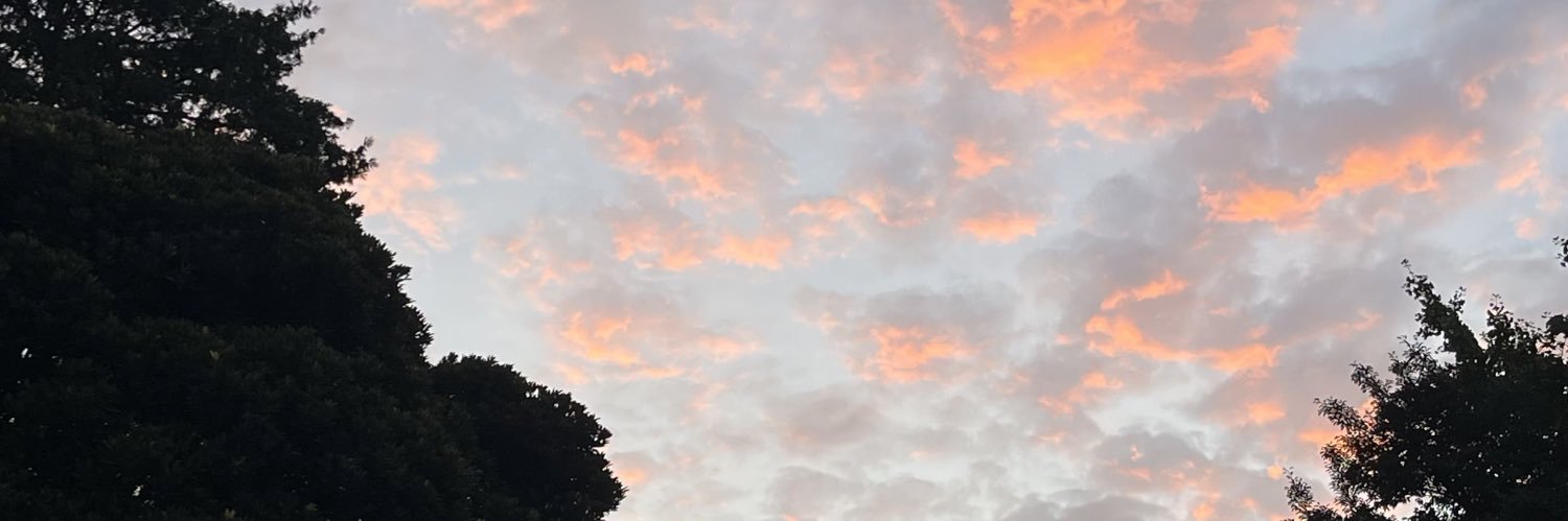 望良もなみ banner