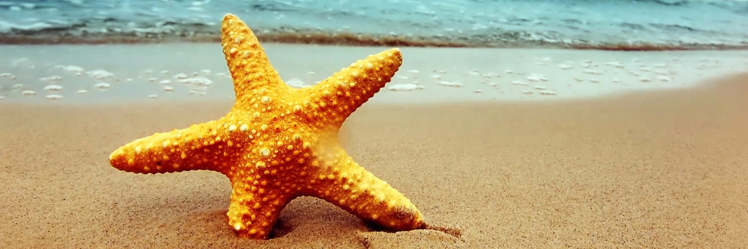 wtchiang2013's profile banner image