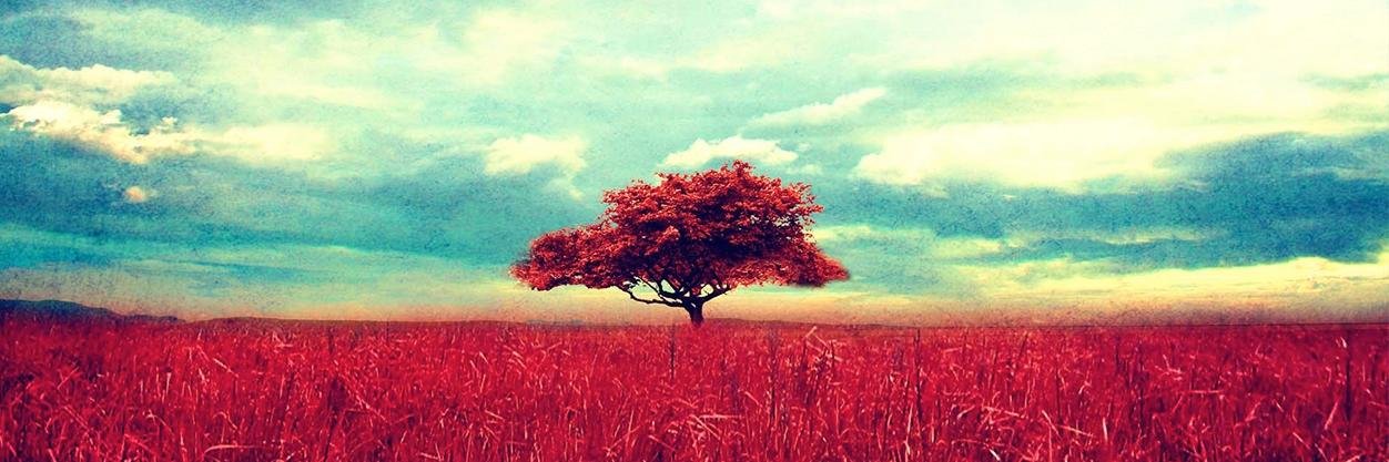 twodayhangover's profile banner image