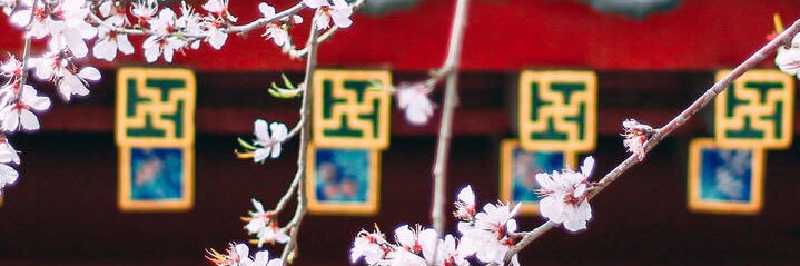 Mofanhao's profile banner image