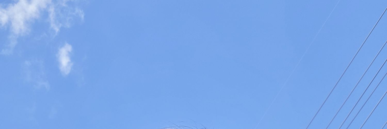 luxtopixel's profile banner image