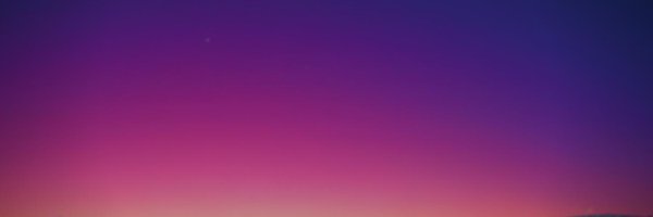 blairepalmer Profile Banner