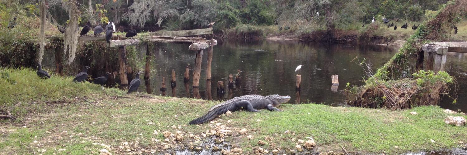 Peter Sneeboer ♈️ banner