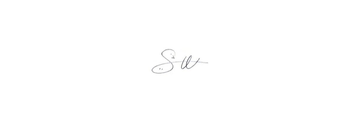 sunzrieval's profile banner image