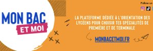 Olivier Rollot banner