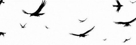 6nkaaa's profile banner image