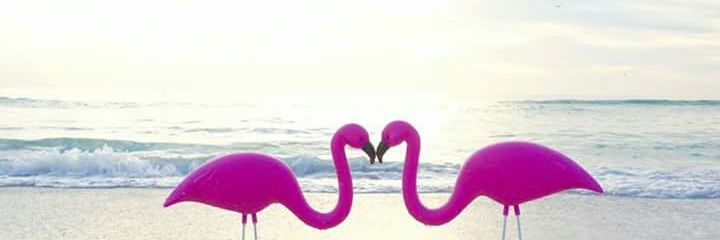 debi32084's profile banner image