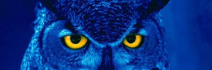 Revorushinari's profile banner image
