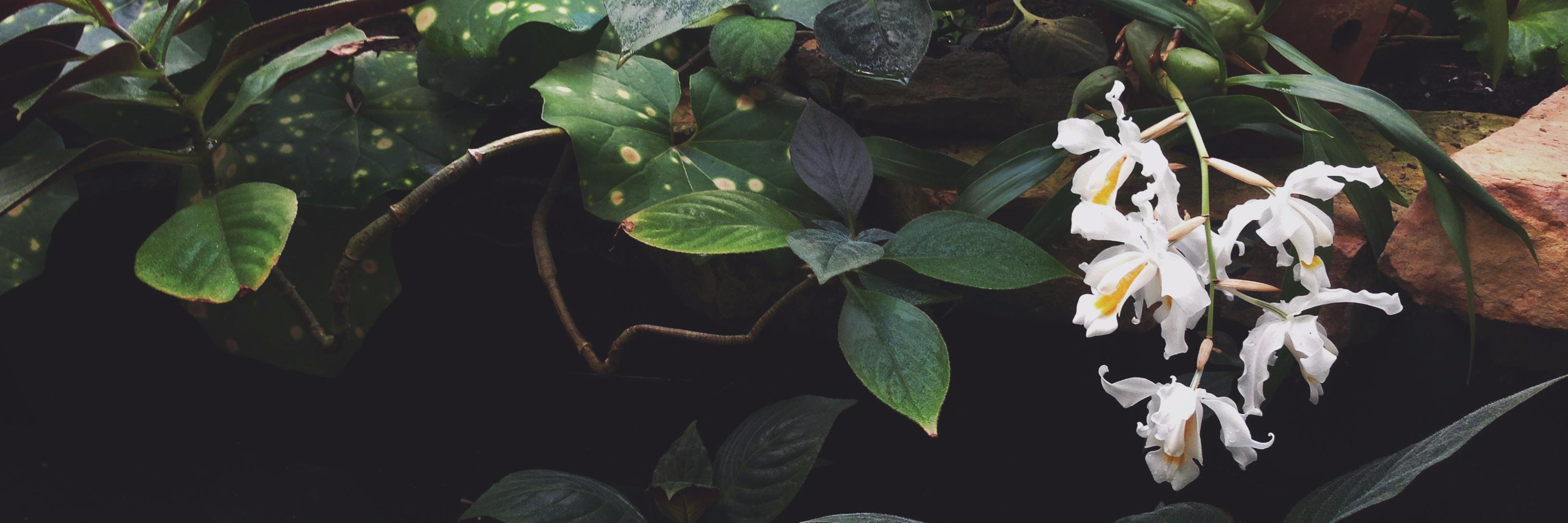 sociac's profile banner image