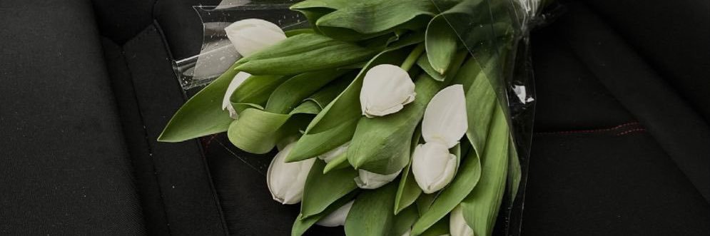 Red 🛑 banner