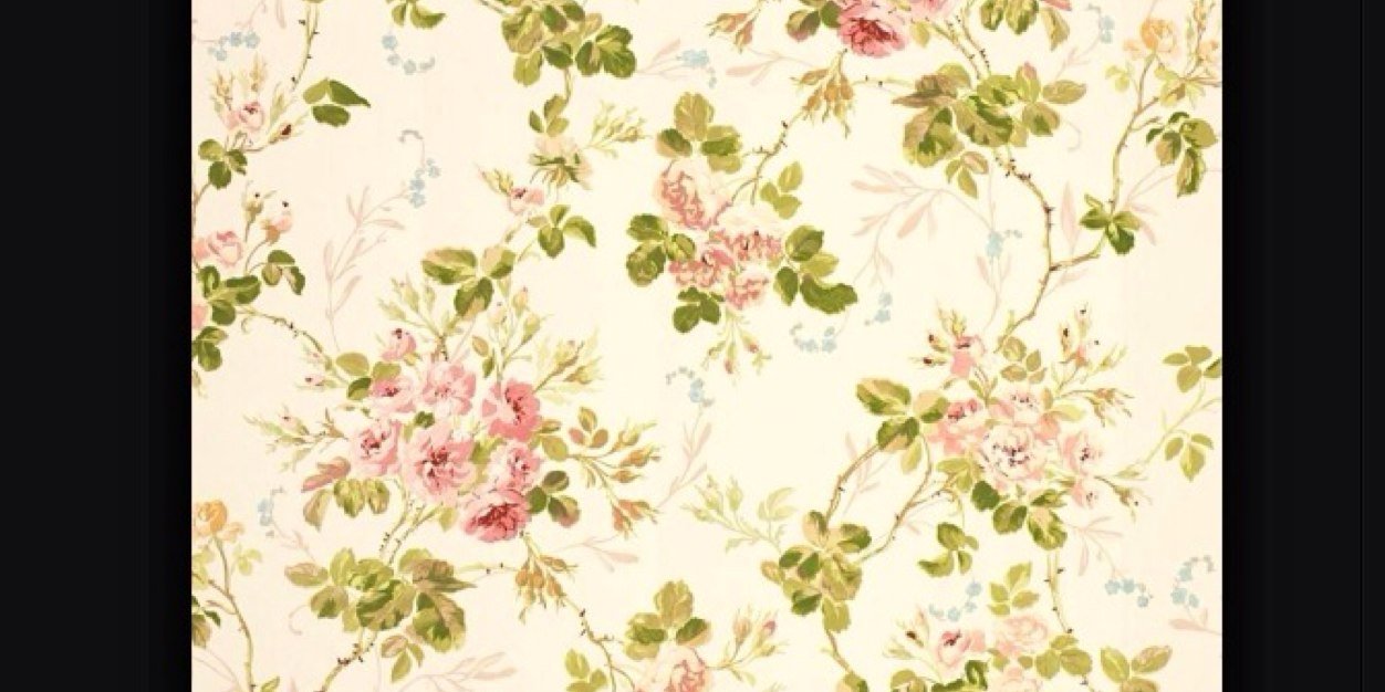 olivia5case's profile banner image