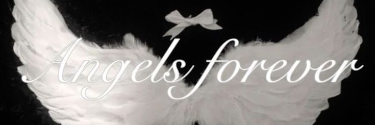 angelsofmeow's profile banner image