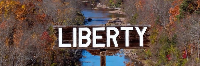 TheCTlibertarian🦔 banner