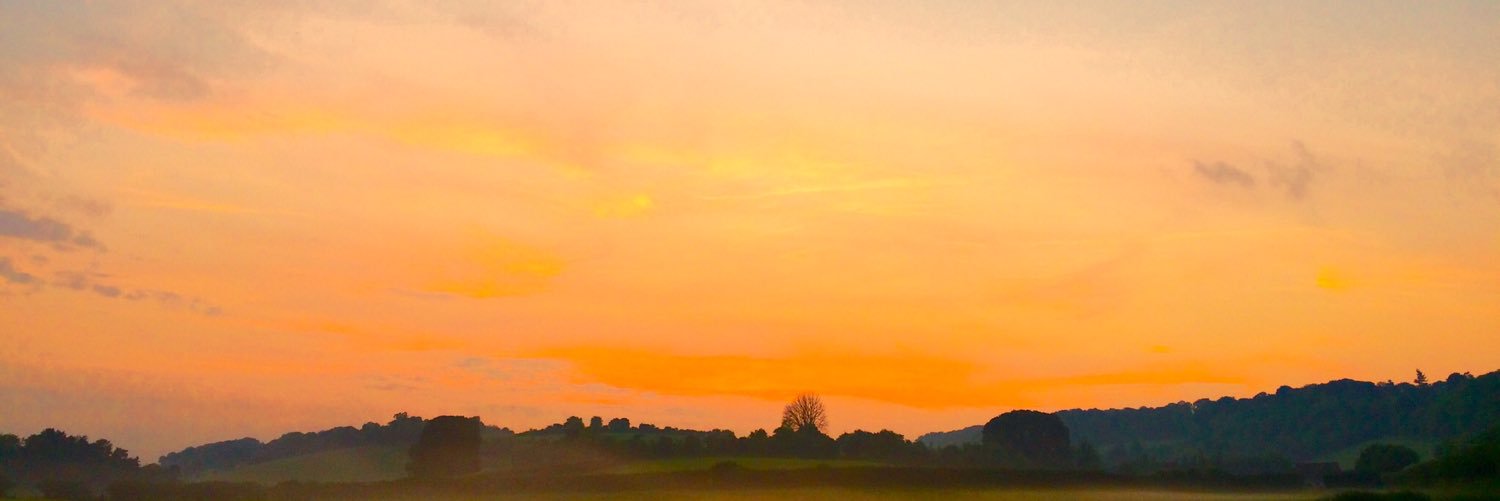 davidxxbrown's profile banner image