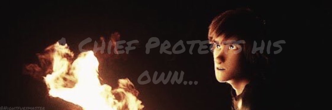 NightfuryMaster's profile banner image