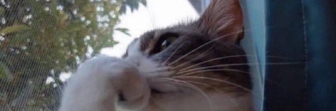 mwi0mw's profile banner image