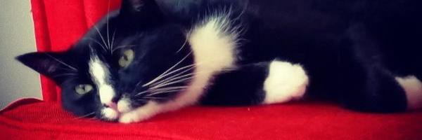 Laura__Bates Profile Banner