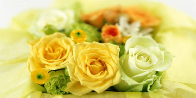 ameliasgt's profile banner image