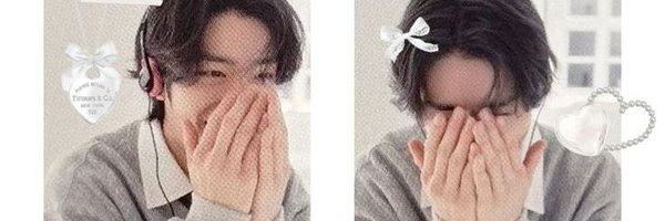 luvschanglix Profile Banner